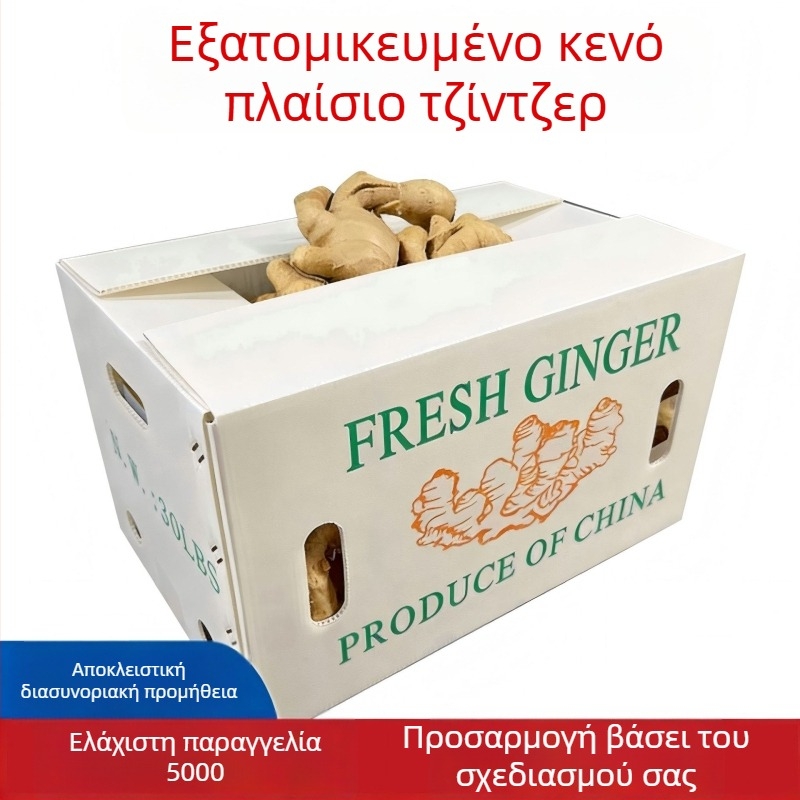 PP κενό πάνελ περιστροφικό κιβώτιο για τζίντζερ και λαχανικά – Υψηλή Αντοχή, Χύτευση με έγχυση, Πάχος τοιχώματος 3 mm, Φορτίο 50 kg, Διαθέσιμο για προσαρμογή