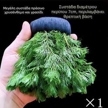 Shadow Creek Σετ διακόσμησης ενυδρείου Betta με οξυγονωμένα σφαιρικά υδάτινα φυτά, χωρίς υπόστρωμα άμμου, για τον καθαρισμό του νερού