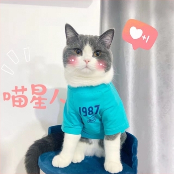 Γιλέκο κατοικίδιων - Shake Velvet ύφασμα, μοντέρνο μινιμαλιστικό στυλ, κωδικός Fd5350095596588