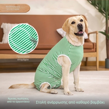 Ρούχα αποκατάστασης σκύλων μετά από χειρουργική επέμβαση, 100% βαμβάκι, για μεσαίου και μεγάλου μεγέθους λαμπραντόρ.