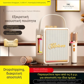 Karaoke Bluetooth ηχείο με ενσωματωμένο μικρόφωνο, όλα-σε-ένα, 40W, μπαταρία 2000–4000 mAh, Bluetooth 5.3, εύρος συχνοτήτων 40Hz–20kHz, IPX4, δύο ηχεία, Hi‑Fi ήχος