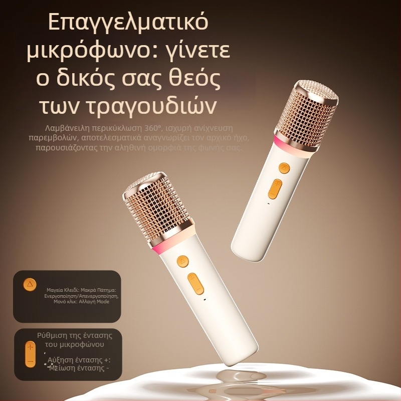 Karaoke Bluetooth ηχείο με ενσωματωμένο μικρόφωνο, όλα-σε-ένα, 40W, μπαταρία 2000–4000 mAh, Bluetooth 5.3, εύρος συχνοτήτων 40Hz–20kHz, IPX4, δύο ηχεία, Hi‑Fi ήχος