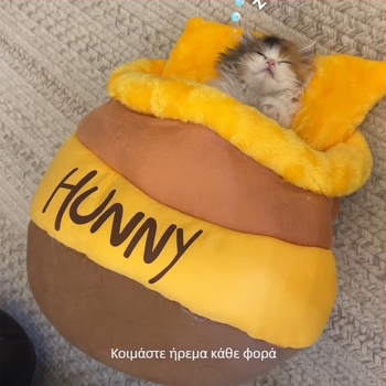 Κατοικίδιο ύπνου γάτας με κλειστό στυλ περιτυλίγματος, παχύτερο και ζεστό, από υλικό Crystal super soft; προέλευση Shandong; κατάλληλο για γάτες; κατηγορία: φωλιές και κλουβιά κατοικίδιων