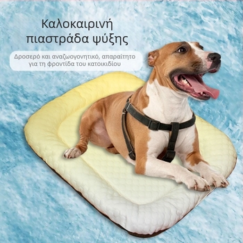 Pet Dream Διαβαθμισμένος Πάτος Ψύξης για Σκύλους, Υφασμάτινο Υλικό, Zhejiang