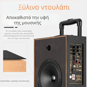 Chigo Bluetooth ηχείο καραόκε με μεγάλο όγκο, ξύλινο περίβλημα – φορητό εξωτερικό ηχείο για τετράγωνο χορό, 20W, οικιακή χρήση