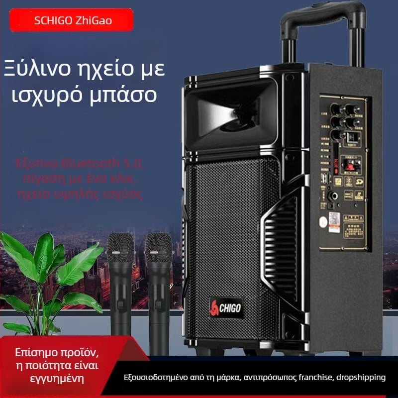 Chigo Bluetooth ηχείο καραόκε με μεγάλο όγκο, ξύλινο περίβλημα – φορητό εξωτερικό ηχείο για τετράγωνο χορό, 20W, οικιακή χρήση