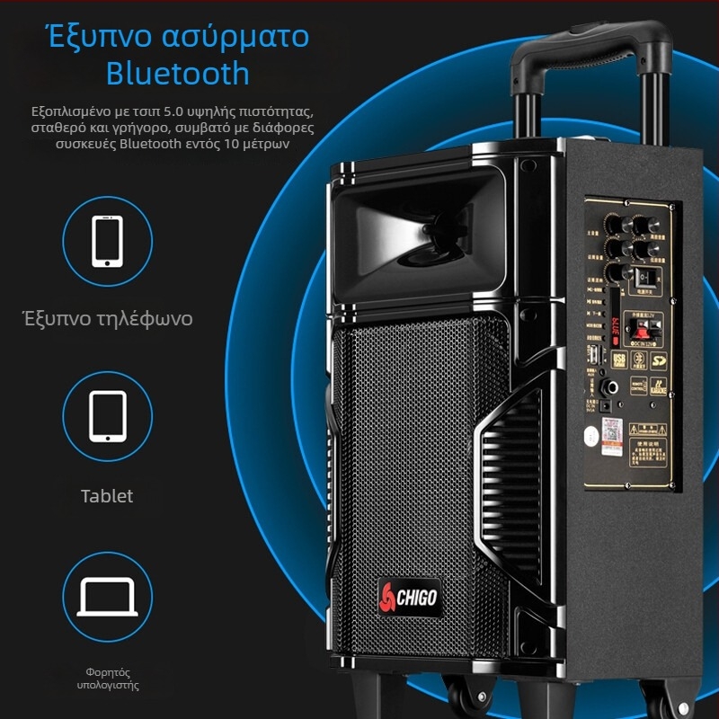 Chigo Bluetooth ηχείο καραόκε με μεγάλο όγκο, ξύλινο περίβλημα – φορητό εξωτερικό ηχείο για τετράγωνο χορό, 20W, οικιακή χρήση