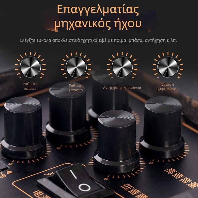 Chigo Bluetooth ηχείο καραόκε με μεγάλο όγκο, ξύλινο περίβλημα – φορητό εξωτερικό ηχείο για τετράγωνο χορό, 20W, οικιακή χρήση