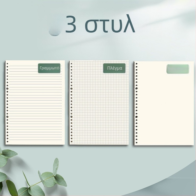 Χαρτί φυλλαρίων για ελεύθερο φάκελο, 60 φύλλα, διπλό offset χαρτί, συμβατό με οπές 8/20/26/30