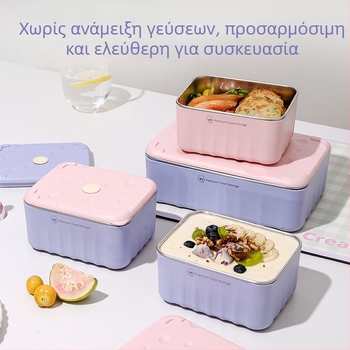 Δοχείο μεσημεριανού από 304 ανοξείδωτο χάλυβα, διπλό στρώμα, τετράγωνο, ασφαλές σε φούρνο μικροκυμάτων (Υλικά: PP + 304 ανοξείδωτος χάλυβας)