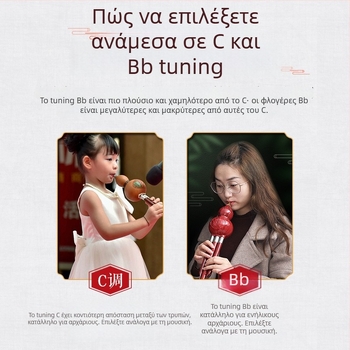 Hulusi μουσικό όργανο, μοντέλο C/B, μάρκα Polygonum wind, υλικό απομίμηση ξύλου, συσκευασία σε κουτί.