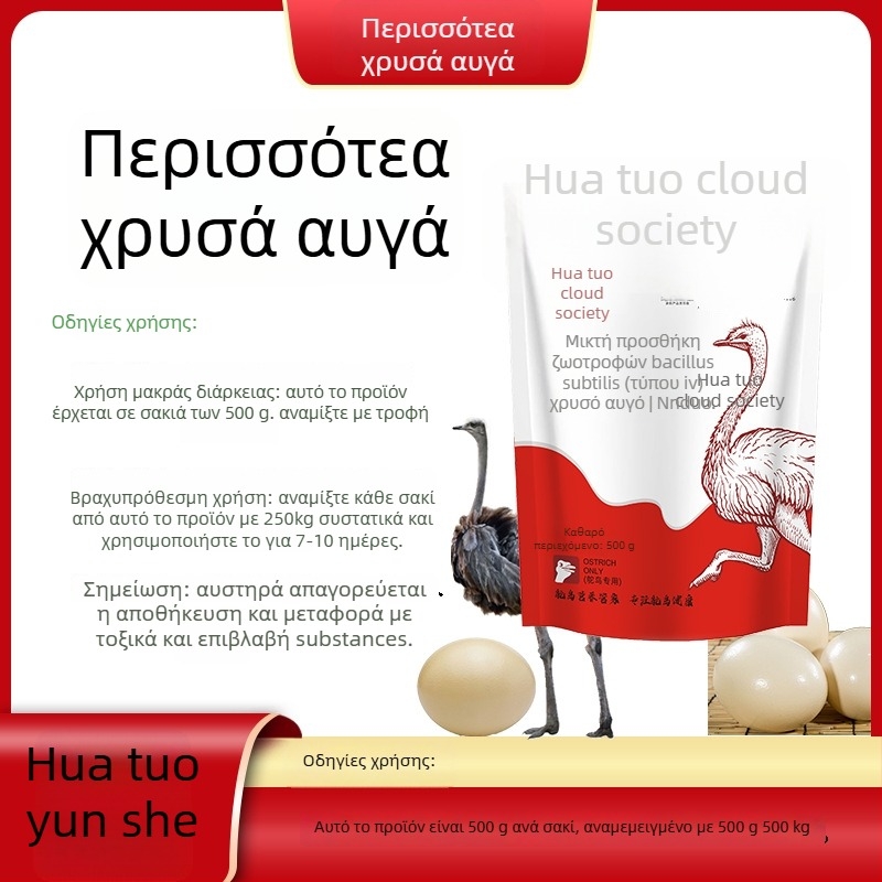 Υποστήριξη Υγείας Αυγών Στρουθοκαμηλής για Προβλήματα Αναπαραγωγής (Προέλευση: Χενάν; Μάρκα: Hua Ostrich Cloud Society; Βάρος: 600 g; Εφαρμογή: Κατάλληλο Παντού)