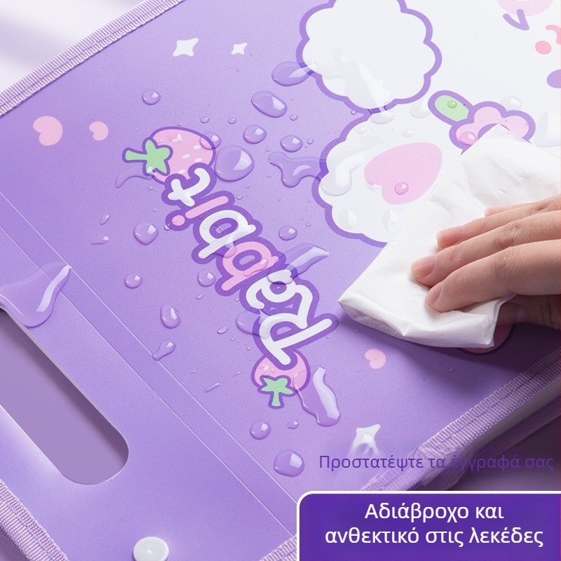 Kaba Bear KBX-7049 Φορητός Οργανωτής Αρχείων για Μαθητές, Πλαστικό, Με 12 Θήκες, Τσάντα Αποθήκευσης Εγγράφων για Διαγωνίσματα