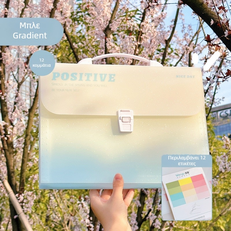 Zi Yi 12 διαμερίσματα PP φάκελος εγγράφων, κάθετος σχεδιασμός ακορντεόν, μοντέλο ZL30372