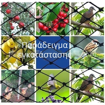 Προστατευτικό νάιλον δίχτυ για πτηνά σε οπωρώνες, γεωργικές εκτάσεις και ιχθυοδεξαμενές — Zhenyue