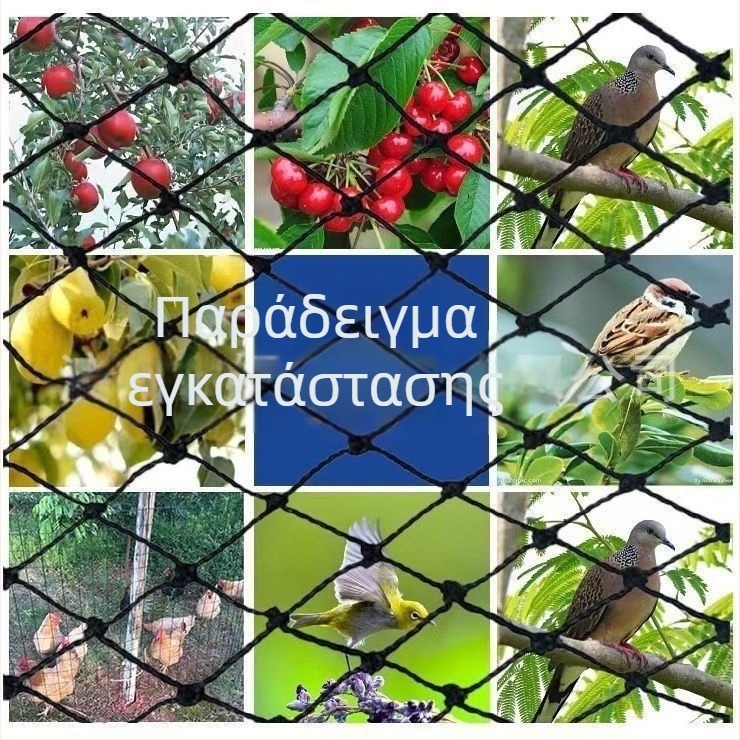 Προστατευτικό νάιλον δίχτυ για πτηνά σε οπωρώνες, γεωργικές εκτάσεις και ιχθυοδεξαμενές — Zhenyue