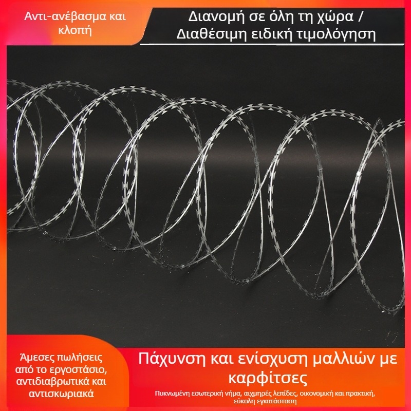 Γαλβανισμένος χάλυβας αγκαθωτό πλέγμα φράχτη, διπλό στρίψιμο (πολύκλων), δεξιό στύλ στριψίματος, δυτική διάταξη, για τοίχους φυλακών, περιμέτρους και σιδηροδρομικούς φράχτες