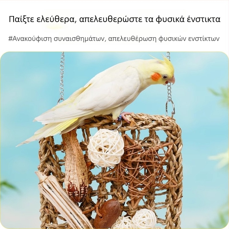 Παιχνίδι για παπαγάλους – Δίκτυο αναρρίχησης με φυσική ράταν μπάλα, σχέδιο μασήματος για ανακούφιση άγχους σε κατοικίδια πουλιά