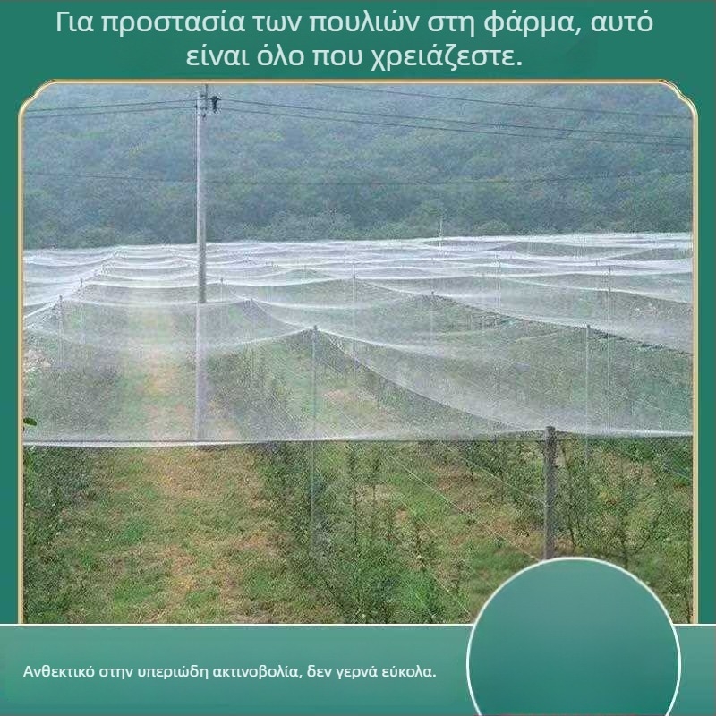 Πυκνό προστατευτικό δίχτυ για λίμνες κατά των πτηνών, ανθεκτικό νάιλον δίχτυ για ιχθυοκαλλιέργειες