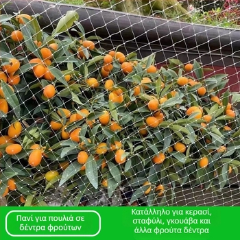 Ενισχυμένο νάιλον δίχτυ προστασίας από πουλιά για οπωρώνες