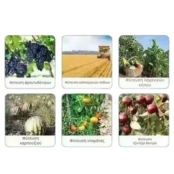 Νάιλον Δίκτυο Αποτροπής Πουλιών για Υπαίθρια Προστασία – Κατάλληλο για Οπωρώνες, Αγροτικές Εκτάσεις, Αεροδρόμια και Ιχθυοκήπια