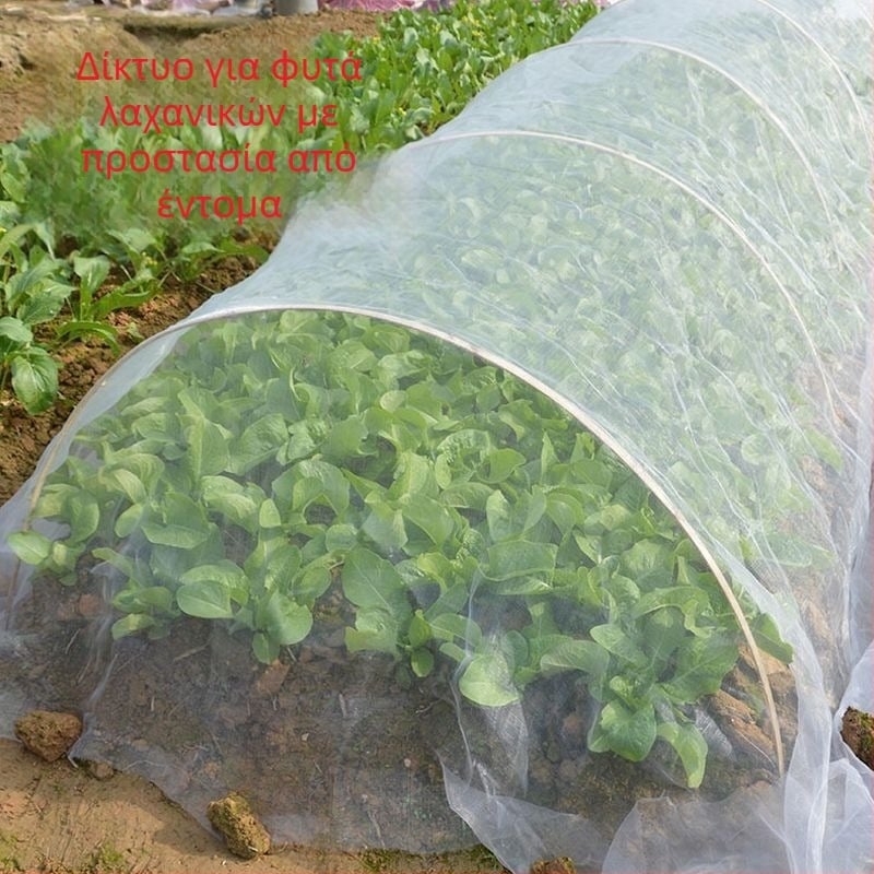 Δίκτυ προστασίας από έντομα με 80 μάτια за καλλιέργεια λαχανικών, κατάλληλο για φυτά, χωράφια και οπωρώνες, προστασία από πουλιά