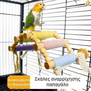 Σκαλίστρα ανάβασης για παπαγάλο — Από συμπαγές ξύλο με σκοινί κάνναβης, μακαρόν σχεδίαση — Αξεσουάρ κλουβιού για ενήλικα πουλιά