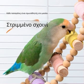 Σκαλίστρα ανάβασης για παπαγάλο — Από συμπαγές ξύλο με σκοινί κάνναβης, μακαρόν σχεδίαση — Αξεσουάρ κλουβιού για ενήλικα πουλιά