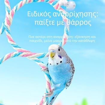 Παιχνίδι για παπαγάλους: σκαλλάκι αναρρίχησης με αιωρούμενα δαχτυλίδια και βάση