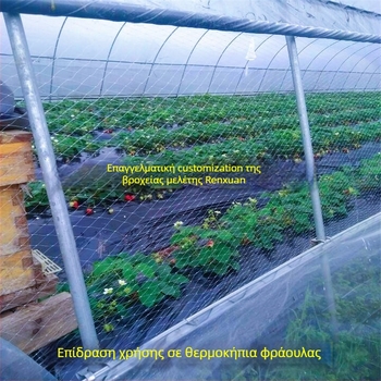 Δίκτυο προστασίας από πουλιά σε θερμοκήπιο με εξαερισμό – κατάλληλο για φράουλες, καρπούζια, σταφύλια και οπωροφόρα δέντρα