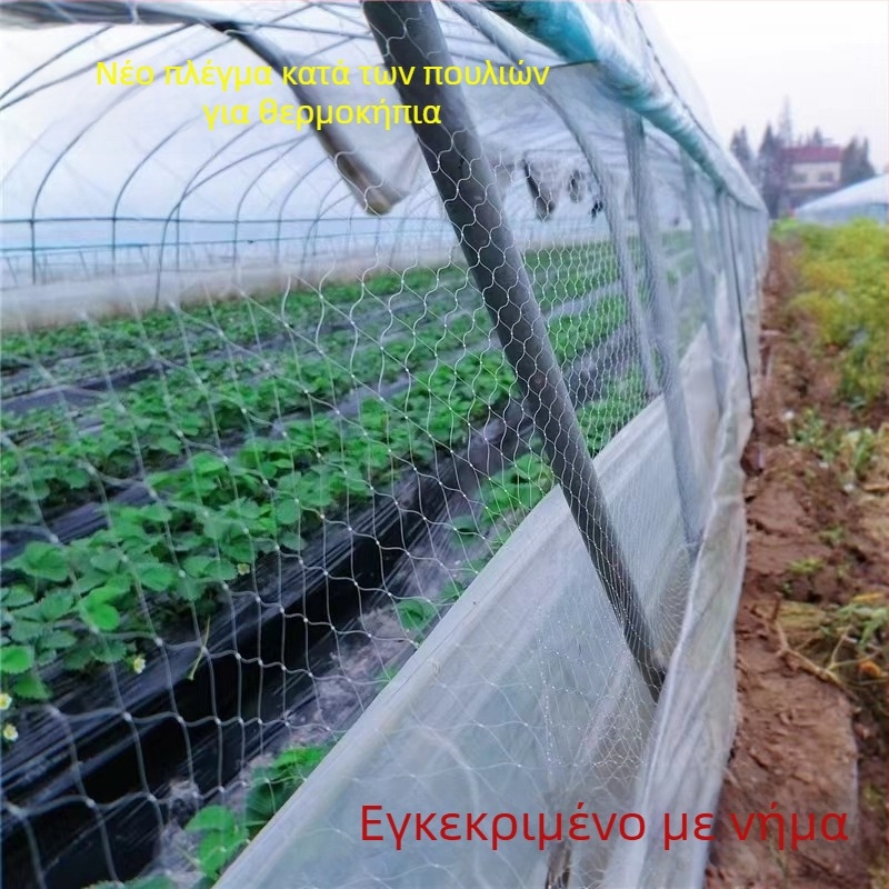 Δίκτυο προστασίας από πουλιά σε θερμοκήπιο με εξαερισμό – κατάλληλο για φράουλες, καρπούζια, σταφύλια και οπωροφόρα δέντρα