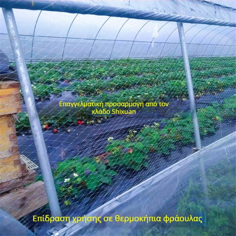 Δίκτυο προστασίας από πουλιά σε θερμοκήπιο με εξαερισμό – κατάλληλο για φράουλες, καρπούζια, σταφύλια και οπωροφόρα δέντρα