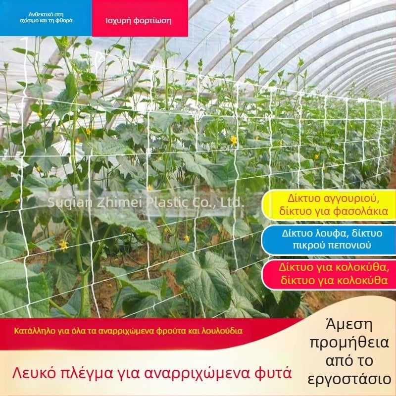 Δίκτυο ανάβασης φυτών με σκοινί για οικιακή κηπουρική — πολυεστέρας