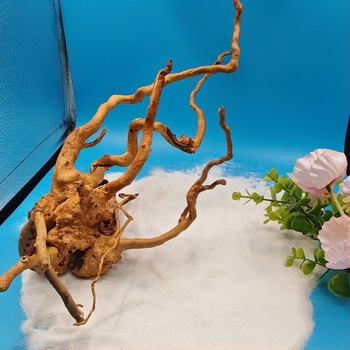Διακόσμηση ενυδρείου τοπίου: βρύα, κορμός σε μορφή δέντρου, ρίζες ροδοδεντρου, 1 τεμάχιο ανά κουτί