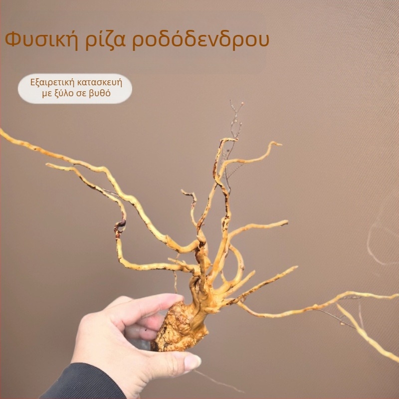 Διακόσμηση ενυδρείου τοπίου: βρύα, κορμός σε μορφή δέντρου, ρίζες ροδοδεντρου, 1 τεμάχιο ανά κουτί