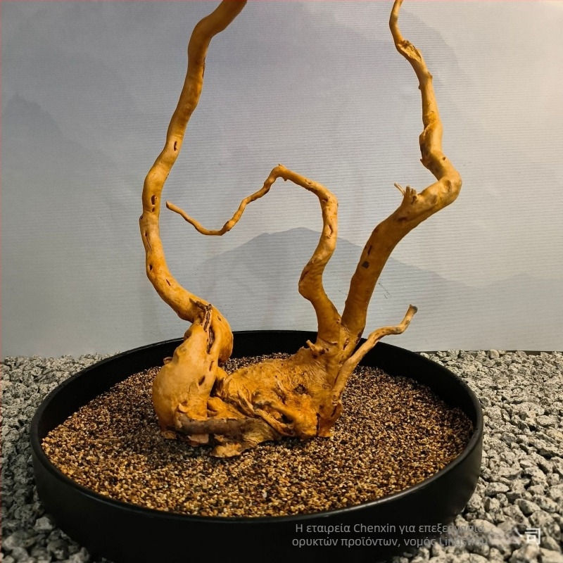 Διακόσμηση ενυδρείου τοπίου: βρύα, κορμός σε μορφή δέντρου, ρίζες ροδοδεντρου, 1 τεμάχιο ανά κουτί