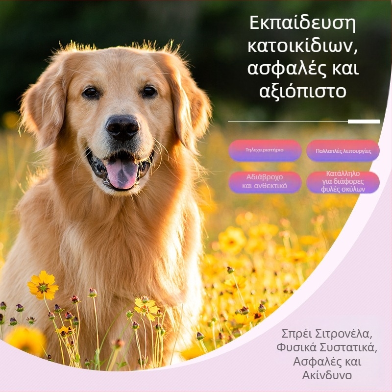DEMU Αδιάβροχος εκπαιδευτής σκύλων με τηλεχειριστήριο, επαναφορτιζόμενος για εκπαίδευση συμπεριφοράς
