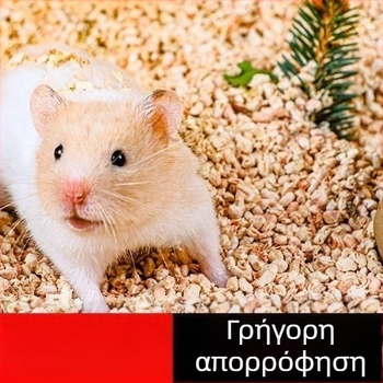 Υπόστρωμα για χάμστερ: υλικό από καλαμπόκι σε κόκκους, ξύλινα τρίμματα και άμμος ούρων για χρυσά χάμστερ