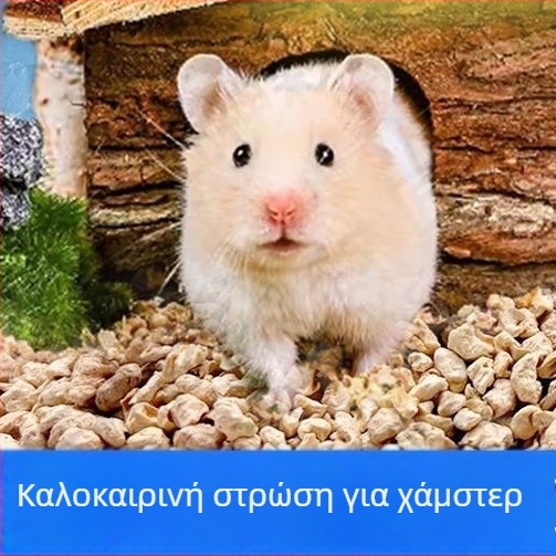 Υπόστρωμα για χάμστερ: υλικό από καλαμπόκι σε κόκκους, ξύλινα τρίμματα και άμμος ούρων για χρυσά χάμστερ