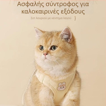 Θωρακικό λουρί γάτας, αναπνεύσιμο, αντι-απόδραση, μη ρυθμιζόμενο, για εξωτερικούς περιπάτους
