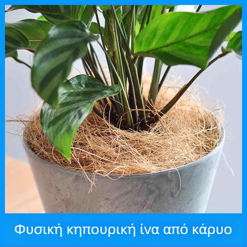 Μάτ φυτών από ίνες καρύδας, διαπερατή, για γλάστρες, μάρκα Morning Flowers