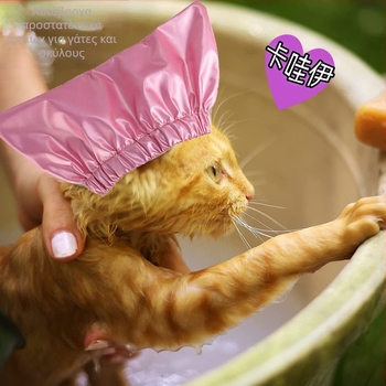 Καπέλο ντους για κατοικίδια (σκύλους και γάτες) — αδιάβροχο, προστασία για τα αυτιά; μονοχρωματικό μοτίβο, πολυεστέρας, ύφανση απλού τύπου, καθολική χρήση, τεσσάρων εποχών