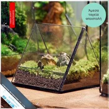 Γυάλινο τεραριούμ σε φιάλη: δάσος βροχής με βρύα και μικροπεριβάλλον - Υλικό: κοινό γυαλί; Μάρκα: Coase Mo; Συσκευασία: Styroflon; Έτοιμο για δώρο