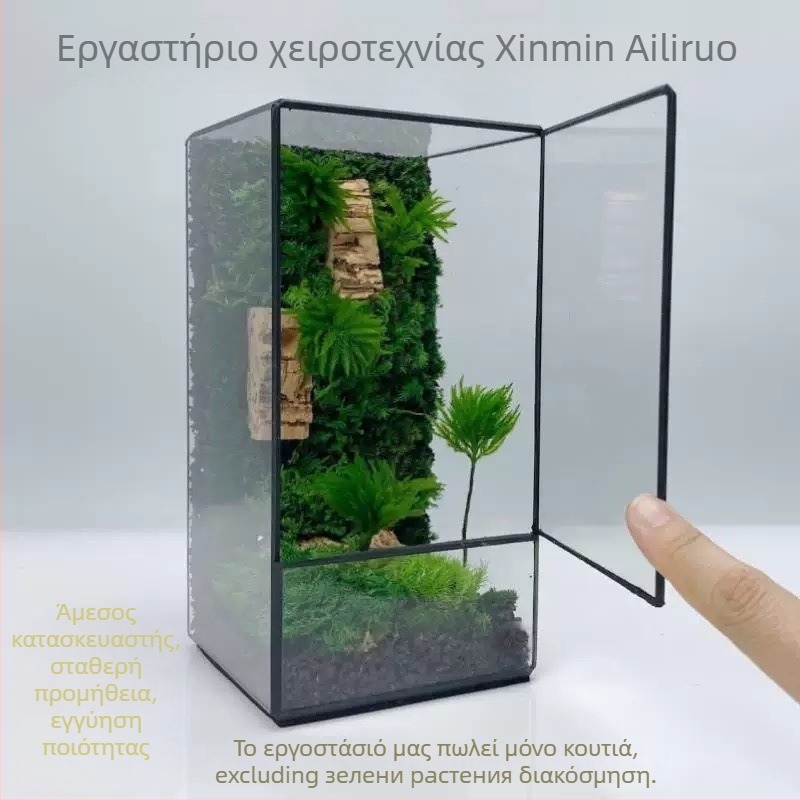 Γυάλινο terrarium με μικροτοπίο από βρύα, χειροποίητο από γυαλί τύπου soda-lime, γεωμετρικό σχήμα, χειροποίητες συγκολλήσεις άκρων, κρεμαστό διακοσμητικό