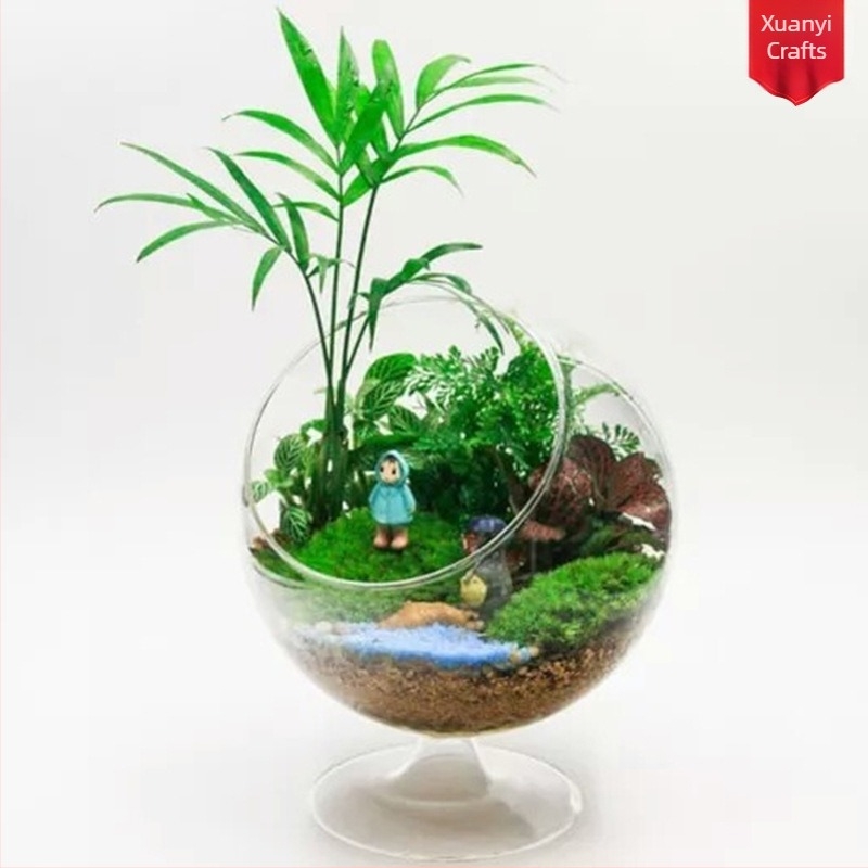 Βάζο από διαφανές γυαλί σε σχήμα καρδιάς, κυκλικό, από γυαλί υψηλής βορσολιτικής, Xuanyi μπουκάλι μικρο-περιβάλλοντος με μικρά πράσινα φυτά