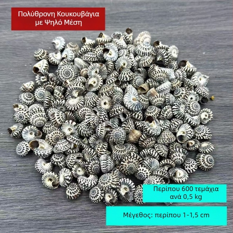 Υλικό διακοσμητικό από κογχύλι – Φυσική κατασκευή; Μεσογειακό στυλ; Κέλυφος και Κονχ; Για μπουκάλια drift και διακόσμηση ενυδρείου; Ocean Love