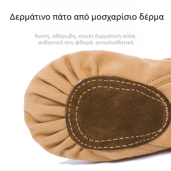 Παπούτσια μπαλέτου και χορού για γιόγκα — δερμάτινη σόλα, καμβάς πάνω μέρος, απορρόφηση κραδασμών, διαπνέοντα, ελαφριά