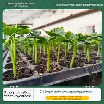 PET θήκη σπορόφυτων Seedling tray 002, για καλλιέργεια σπορόφυτων, λαχανικών, πρασινίσματος και δασικών σπορόφυτων, Jin Xu