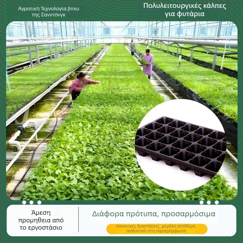 PET θήκη σπορόφυτων Seedling tray 002, για καλλιέργεια σπορόφυτων, λαχανικών, πρασινίσματος και δασικών σπορόφυτων, Jin Xu