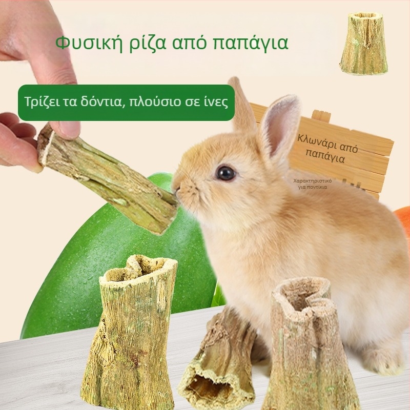 Μασώμενη ράβδος από ξύλο παπάγιας για μικρά ζώα — φυσικό παιχνίδι για κουνέλια, χιντζίλες και γουίνι; Μάρκα: Consultation